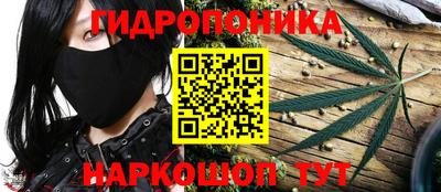 тгк Пушкино