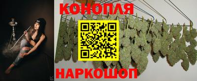 тгк Пушкино